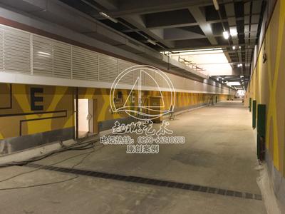 三亚美丽之冠酒店停车库墙绘装饰